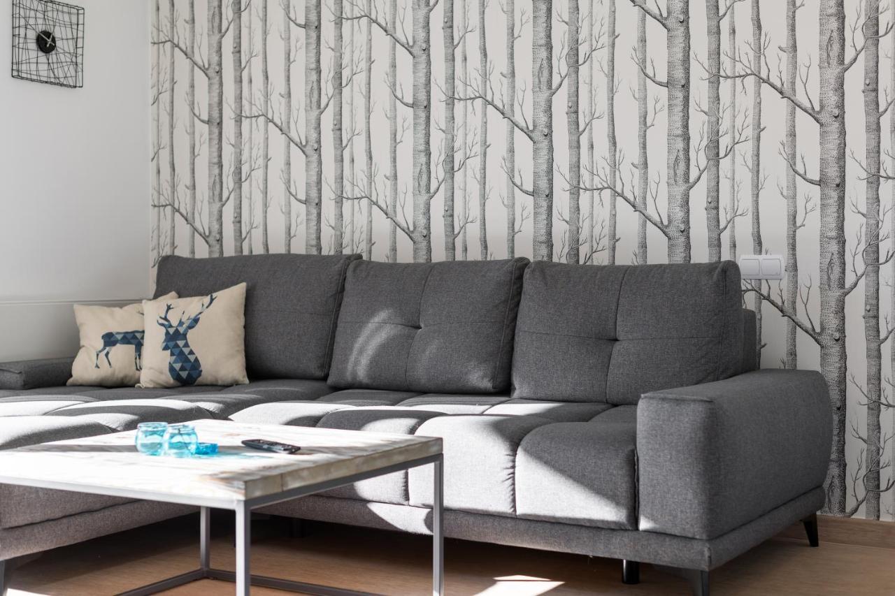 Apartament Scandinavia 扎科帕内 外观 照片